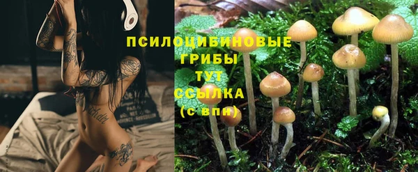 MESCALINE Лихославль