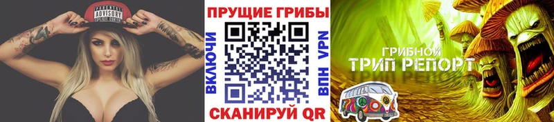 Галлюциногенные грибы мухоморы Приозерск