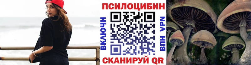 Галлюциногенные грибы прущие грибы  Приозерск 